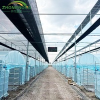 Kits de Invernadero Agrícola de Gran Tamaño y Bajo Costo, de un Solo Vano, de PE, para Cultivo de Flores, con Control de Temperatura para Plantación Durante Todo el Año
