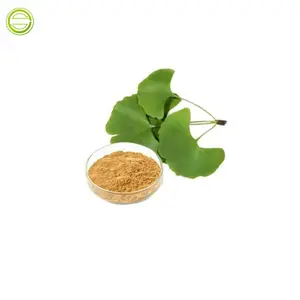 Extracto de Ginkgo Biloba, polvo GBE, al mejor precio, venta al por mayor de fábrica