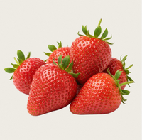 Extrait concentré de fraise TW PDRN 100ppm, matière première cosmétique liquide, extrait de Fragaria Ananassa, polynucléotide