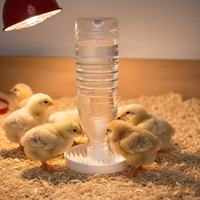 Abreuvoir automatique pour volailles, poussins, canards, cailles, distributeur d'eau pour volailles, équipement d'élevage