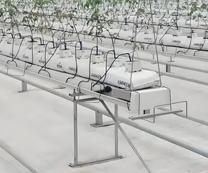 Soteng : Optimisation de l'Utilisation de l'Espace, Culture de Tomates en 3D, Serre de <span class=keywords><strong>Balcon</strong></span>, Irrigation Hydroponique - Product Image 5