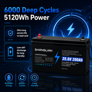 Paquete de Baterías LiFePO4 de 25.6V 200Ah con BMS Integrado, 6000 Ciclos, IP65, Almacén en Polonia, Grado A, Bluetooth, Logotipo Personalizado, Capacidad y Color - Product Image 2