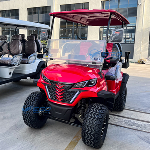 Carrito de Golf de 4 Plazas (2+2) a Gasolina, 4x4, con Energía Solar, Batería de Plomo-Ácido de Moda con 2 Años de Garantía, en Venta - Product Image 6