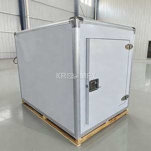 Cámara Frigorífica de 20 pies para Exhibición de Flores en Supermercados, Puerta de Vidrio con Panel de 150 mm, Compresor Copeland Ecológico - Product Image 6