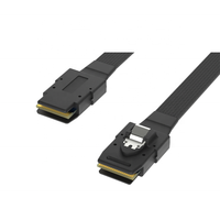 Kabel RCD Oculink 4i ke SFF8611 4i SAS untuk IATF16949/ISO9001 Berpelindung Anyaman untuk Penggunaan Server