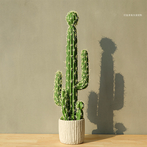 <span class=keywords><strong>Precio</strong></span> al por mayor <span class=keywords><strong>de</strong></span> cactus <span class=keywords><strong>de</strong></span> un nuevo <span class=keywords><strong>desierto</strong></span> tropical <span class=keywords><strong>de</strong></span> simulación - Product Image 1