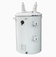 Transformateur monophasé immergé dans l'huile monté sur poteau, capacité 10-160 kVA, bobine toroïdale scellée, étanche à l'humidité, 50/60 Hz, ONAN/ONAF
