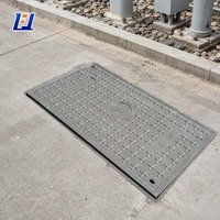 Couvercle de regard en PRV (Plastique Renforcé de Fibres de Verre) pour les voies vertes, trottoirs, routes urbaines résidentielles, ports et terminaux de fret FT-M600DT8