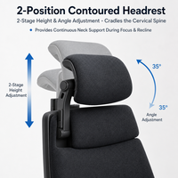 Chaise de bureau ergonomique de direction à dossier haut en maille, avec accoudoirs 3D, appui-tête à 2 positions, chaise de travail pivotante pour bureau