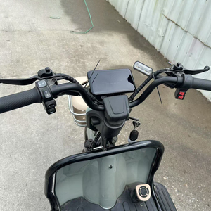 Le tout nouveau tricycle à grande puissance pour adultes avec le meilleur prix - Product Image 2