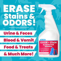 Détachant pour tapis pour chiens et chats, urine, nourriture, vomit, éliminateur d'odeurs d'animaux, spray désodorisant