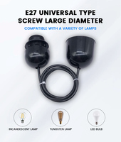 Lampe suspendue créative personnalisée Ruyi DT-007 pour salon, en plastique et cuivre, légère, sans batterie, 250V, garantie 3 ans