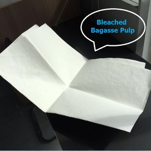 Química blanqueada <span class=keywords><strong>bagazo</strong></span> de pulpa - Product Image 1