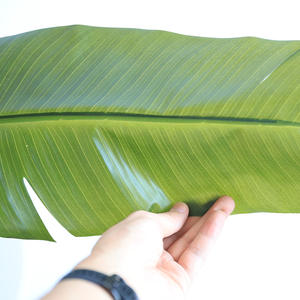 กระถางพลาสติกประดิษฐ์ของนักเดินทางทำจากพลาสติกพรีเมียมสัมผัสของจริงธรรมชาติเป็นมิตรกับสิ่งแวดล้อมสำหรับตกแต่งในร่มกลางแจ้ง - Product Image 5