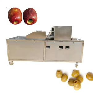 Macchina elettrica per la denocciolatura della ciliegia macchina per la denocciolatura dell'oliva per la pelatura della mela del Pitter della prugna industriale in vendita - Product Image 2