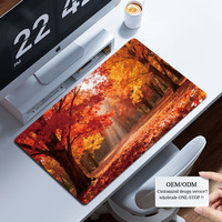 Custom Mouse Pad Game Mat High Quality Large Gaming Mouse Pad Computer Hardware Software Office Home Use