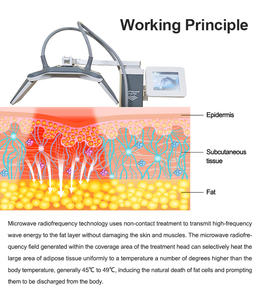 Máquina de Lipólisis Corporal No Invasiva para Disolver Grasa, Pérdida de Peso, Tratamiento del Dolor, Escultura Corporal, Eliminación de Grasa, Equipo de Belleza - Product Image 5