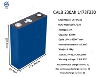 Ağır Hizmet Tipi CALB 230Ah 3.2V LiFePO4 Prizmatik Lityum İyon Hücreli LFP Pil, Elektrikli Araçlar/Güneş Enerjisi Sistemleri/Golf Arabaları/Elektrikli El Aletleri için