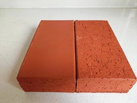Brique d'ingénierie perforée rouge antique rouge pour la construction de bâtiments