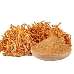 Ganoherb Champignons <span class=keywords><strong>Extract</strong></span> Poeder Cordyceps Militaris <span class=keywords><strong>Extract</strong></span> Organisch Voor Immuunsysteem Booster Supplementen - Product Image 6
