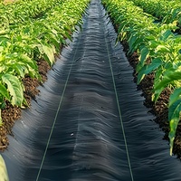 Rouleaux de toile de paillage robuste en PEHD stabilisée anti-UV et anti-vieillissement, perméable, pour couverture de sol agricole, approvisionnement en gros