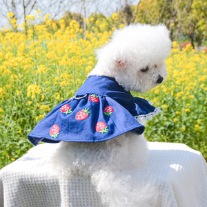 PETCIRCLE pet clothing for dogs and cats, <b>cute</b> strawberry denim skirt for teddy <b>bears</b> and Bichons - Product Image 1