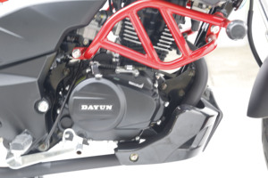 Motocicleta Urbana <span class=keywords><strong>DAYUN</strong></span> DY150-29 de Gran Potencia y Alta Venta con Motor EDF para Ocio y Reparto - Product Image 4