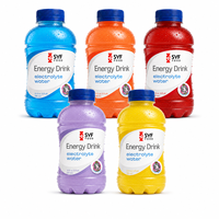 Boissons Énergétiques Électrolytiques Faible en Sucre en Bouteille PET Personnalisée – Boissons Sportives et Sodas – Programme d'Emballage OEM Marque Privée