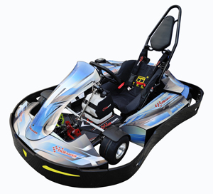 Ce được phê duyệt F1 Racing <span class=keywords><strong>Go</strong></span> <span class=keywords><strong>Kart</strong></span> 200cc điện 4 Stroke 500cc động cơ 12V Pedal <span class=keywords><strong>Go</strong></span> karts kích cỡ khác nhau <span class=keywords><strong>196cc</strong></span> 270cc 168cc - Product Image 4