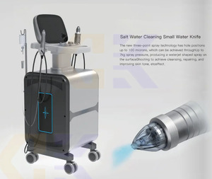 High-quality New Hydra <strong>Beauty</strong> Oxygen Therapy Facial Rejuvenation Device Skin Tighten Hydration <strong>Hyperbaric</strong> <strong>Chamber</strong> Hydro Machine - Product Image 5