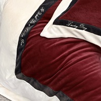 270g entièrement mat lait polaire quatre pièces ensemble hiver épaissir Double face velours housse de couette draps 4 pièces ensemble de literie