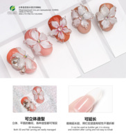 Gel Poly sans HEMA et TPO de l'usine Yidingcheng, Gel de modelage 3D, Vernis Gel UV/LED à séchage rapide (30s/2min) pour Nail Art, OEM/ODM Marque Privée