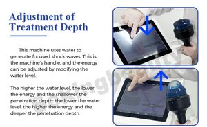 Macchina Versatile per Terapia a Onde d'Urto Extracorporee per Animali, per Alleviare il Dolore e Accelerare la Guarigione, per Uso Veterinario - Product Image 5