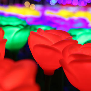 Guirlande lumineuse à LED pour paysage extérieur, rose <span class=keywords><strong>d</strong></span>'oreille <span class=keywords><strong>de</strong></span> <span class=keywords><strong>blé</strong></span> rougeoyante, lumières <span class=keywords><strong>de</strong></span> Noël et <span class=keywords><strong>de</strong></span> vacances avec lanternes - Product Image 5