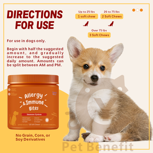 OEM/ODM Personalizado, Certificado Halal/Kosher, Sin Granos, Alivio de Alergias <span class=keywords><strong>para</strong></span> Mascotas, Soporte Inmunológico, Golosinas Blandas con Probióticos <span class=keywords><strong>para</strong></span> <span class=keywords><strong>Perros</strong></span> - Product Image 3