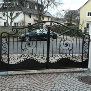 Puertas de Patio de Hierro Forjado - Product Image 3