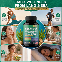 Capsules Herbales Antioxydantes pour Adultes : Mélange de Mousse de Mer, Shilajit, Huile de Nigelle, Ashwagandha et Gingembre – Marque Privée OEM pour la Gestion de l'Énergie
