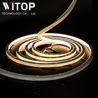WITOP-Bande lumineuse en silicone pour décoration de façade extérieure, étanche IP67 10x10mm, LED 12/24V