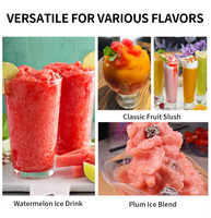 Machine à slush pour boissons fraîches commerciales |   Distributeur de dessert glacé électrique avec garantie