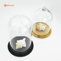 Effacer anti-poussière LED stockage aveugle boîte jouet Mini poupée modèle figurines organisateur conteneur vitrine