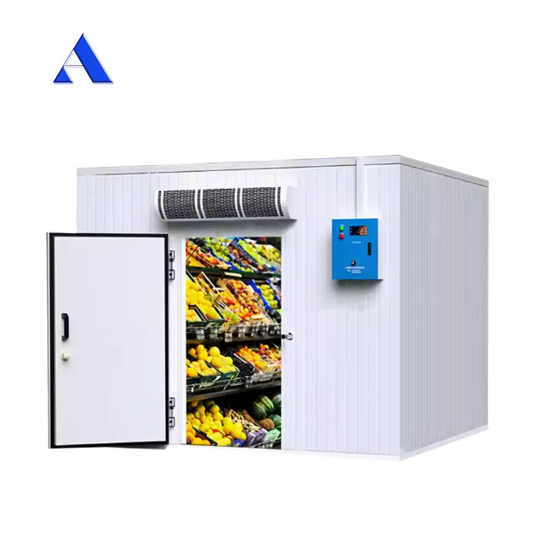 ثلاجة غرفة التجميد بطول 3 متر غرفة التخزين البارد للخضروات والفاكهة واللحوم