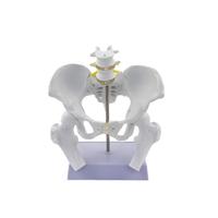 Modelo Flexible de Pelvis Femenina y Feto a Termen para Demostración de Parto Obstétrico y Entrenamiento de Partería