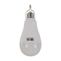 Ampoule LED rechargeable 2 en 1, lumière blanche chaude, pour usage au bureau