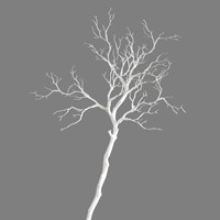 Décoration florale artificielle blanche en forme de bois de cerf, ornements faits à la main, style Mori, fausses branches séchées pour mariage