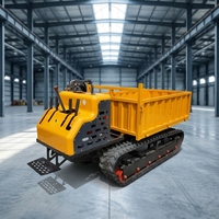 Dumper chenillé diesel OEM, transporteur hydraulique, certifié EPA EURO5 CE, pour la construction agricole, vente en gros fabricant