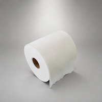 Großhandel Spunbond Polypropylen Vliesstoff SSS 13gsm 15gsm Vliesstoff 100% PP Vliesstoff