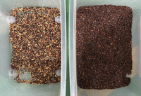 Machine de tri chromatique intelligente Wenyao de Chine pour riz, haricots, lentilles, thé, noix, avec une grande capacité