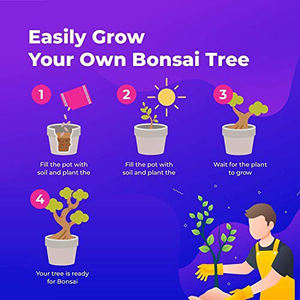 ชุดปลูกต้นบอนไซขนาดเล็ก8ต้นมีตราสินค้าสำหรับสวนของขวัญคริสต์มาส - Product Image 6