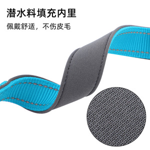 Collier demi-chaîne pour chien en nylon, taille SML, design anti-éclatement, pour chiens de grande et moyenne taille, collier pour animaux de compagnie - Product Image 5