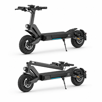 Scooter Eléctrico Todoterreno Plegable N04 48V 800W 15Ah 10 Pulgadas Venta al por Mayor